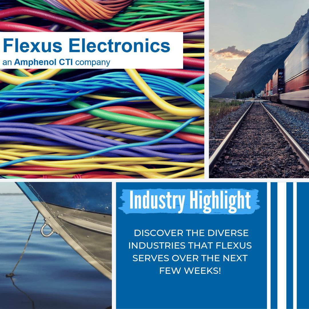 Flexus Electronics