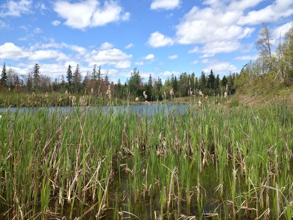 Glenholme Loop Petro-Canada