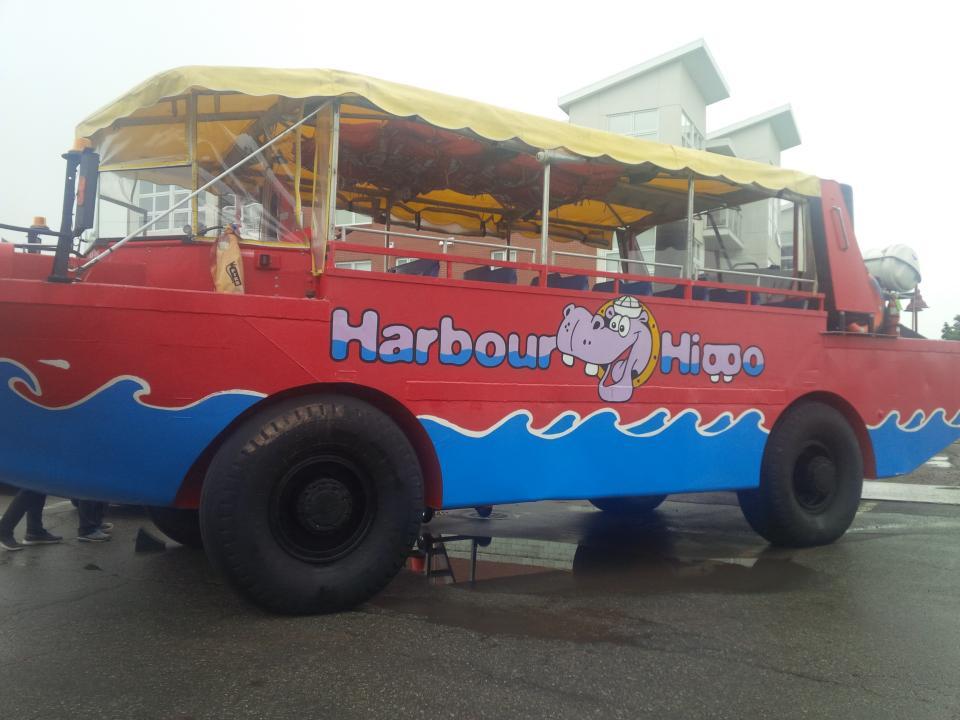 Harbour Hippo