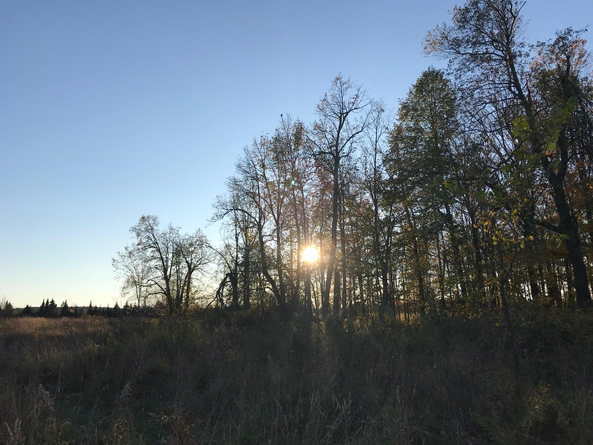 Upper Credit Conservation Area