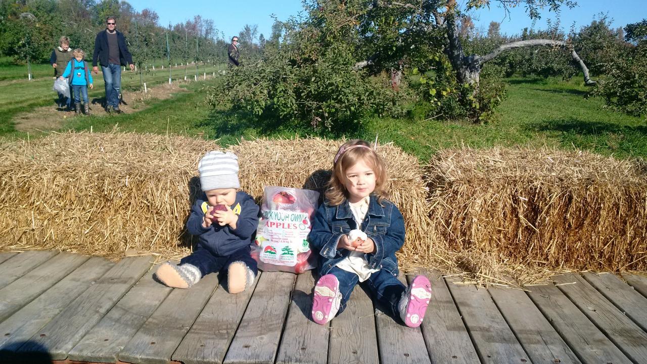 Mountain Orchards