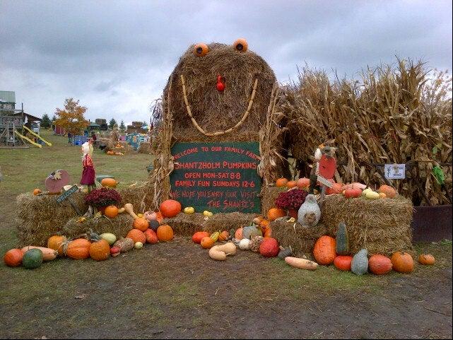 Shantz Family Farm