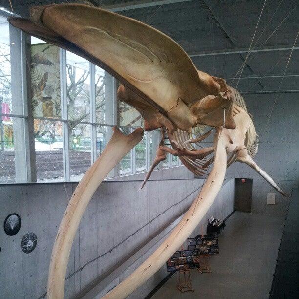 Beaty Biodiversity Museum