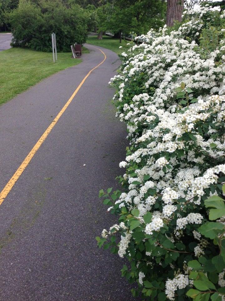 Rideau River Eastern Parkway