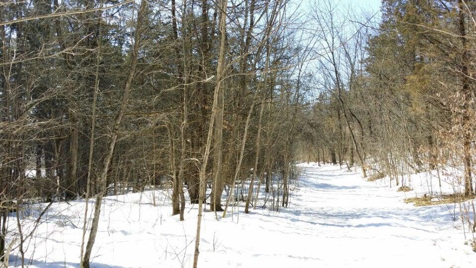 Parrott's Bay Conservation Area