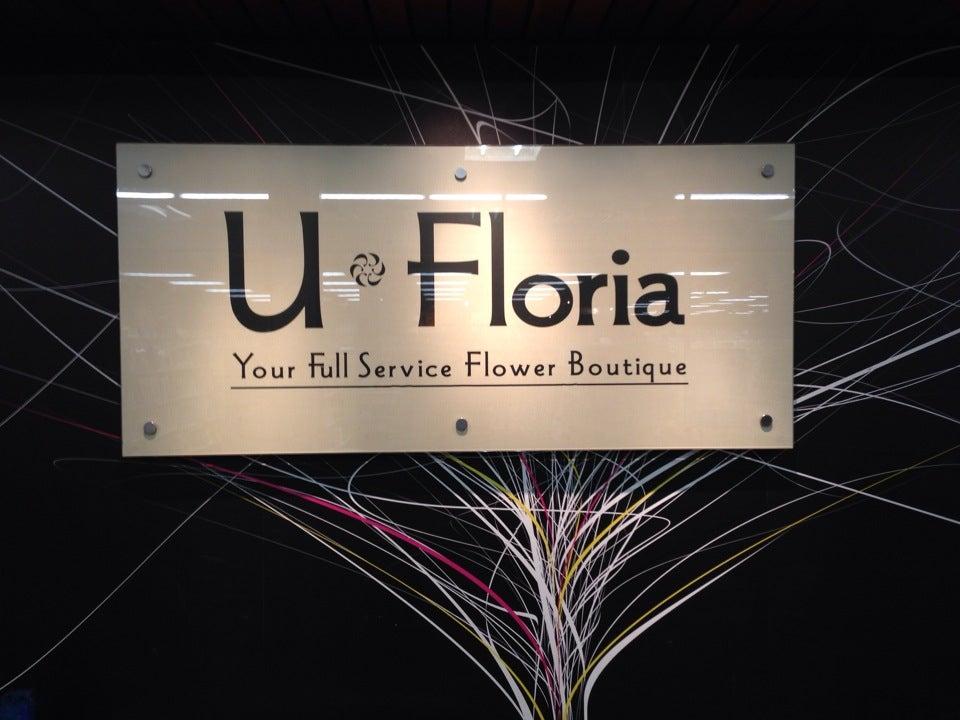 U Floria Ltd