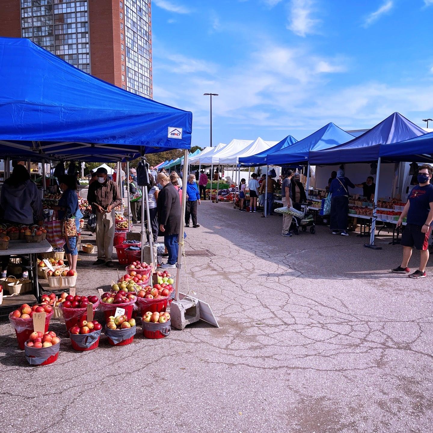 Lions Farmer's Market