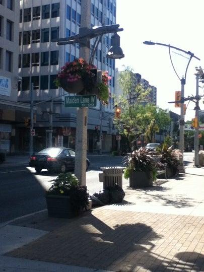 Downtown Windsor Bia