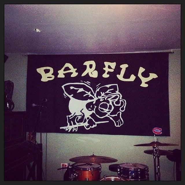 Bar Fly