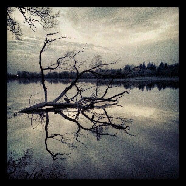 Hespeler Mill Pond