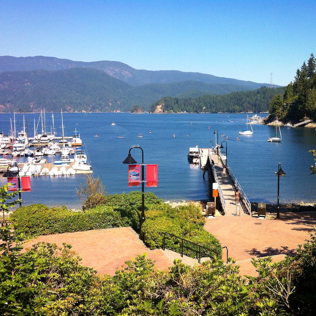 Deep Cove Ice Cream