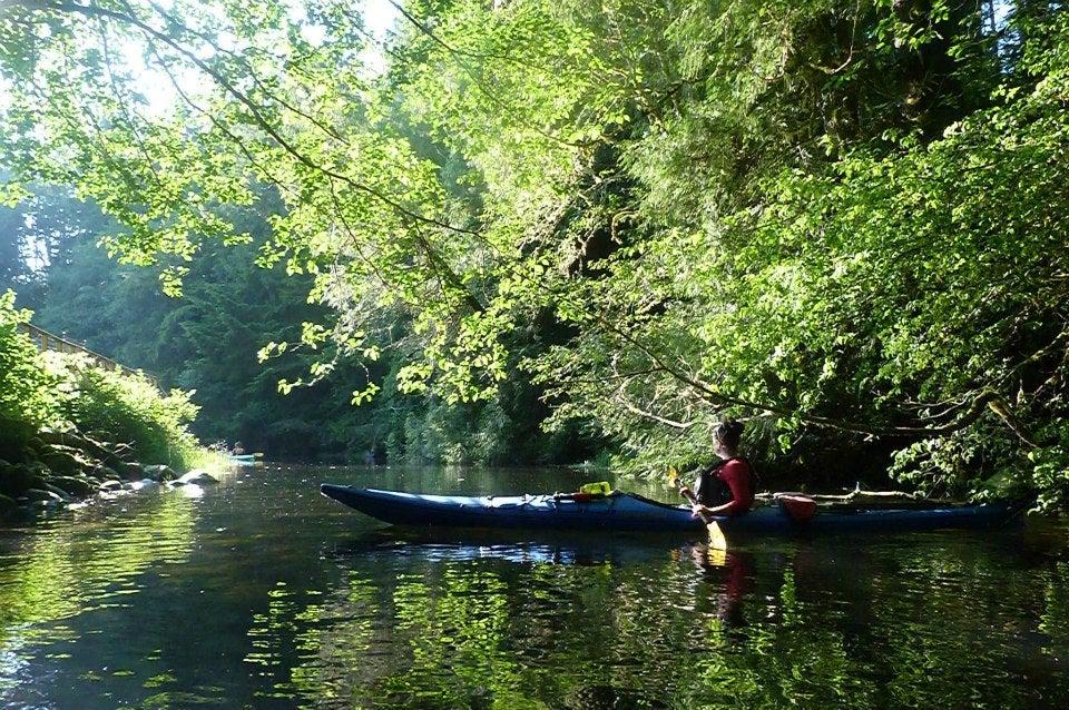 Paddle West Kayaking