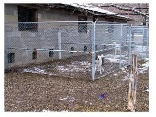 Hy Country Kennels