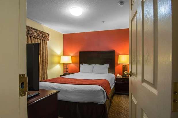 Comfort Inn & Suites Airport South