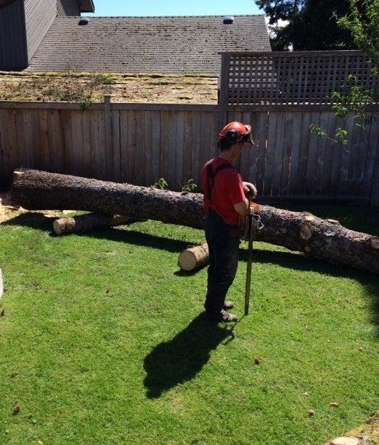 C R Tree Service