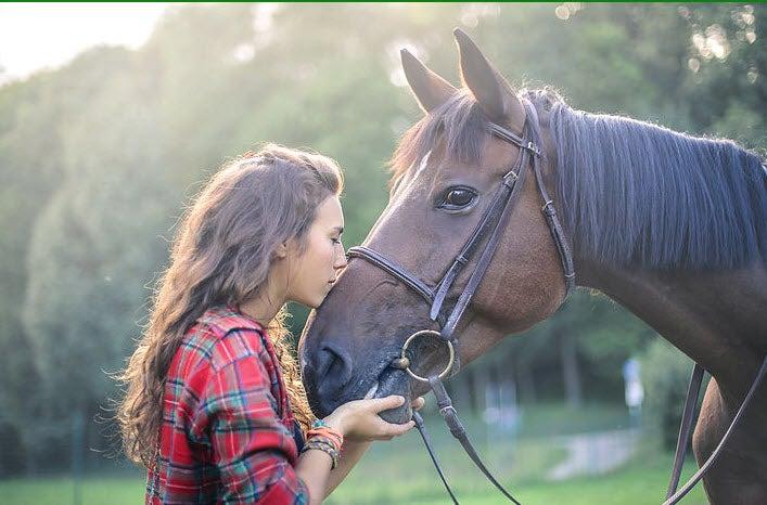 Equestrian Factory Outlet