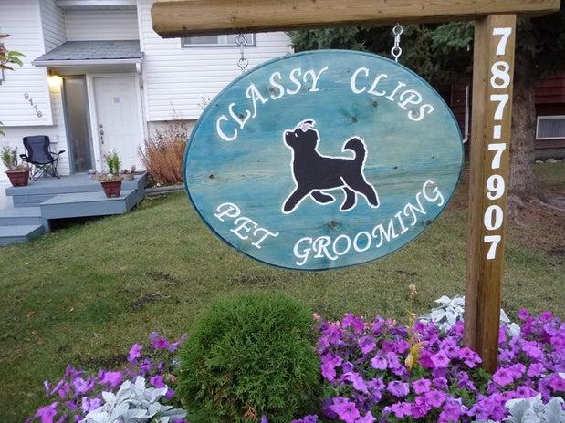 Classy Clips Pet Grooming