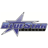 Blue Star Nursery Ltd