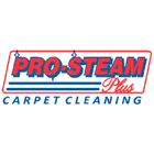 Pro-Steam Plus Carpet Cleaning