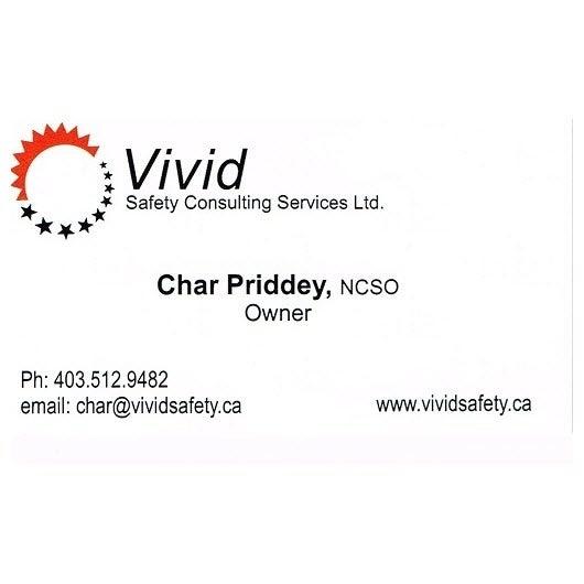 Vivid Safety Consulting Services LTD