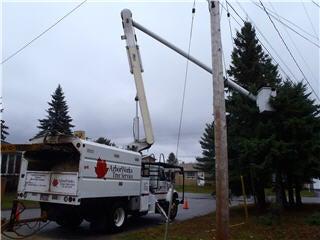 Arborworks Tree Service