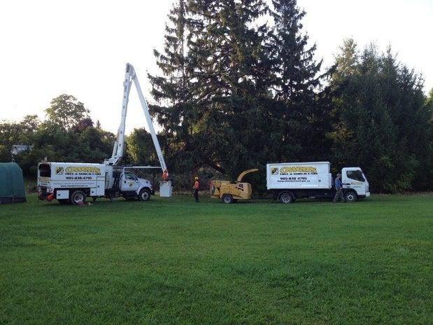 Owen's Tree & Shrub Care