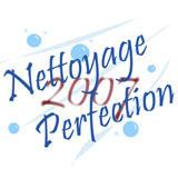 Nettoyage Perfection 2007