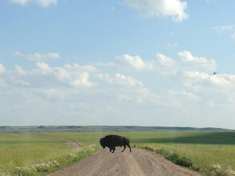 Grasslands National Park