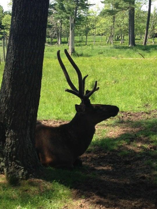 Shubenacadie Wildlife Park