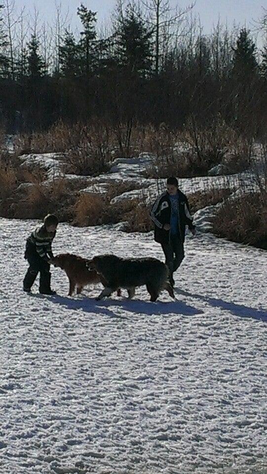 Lloydminster’s Off Leash Dog Park