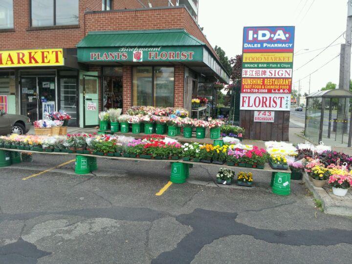 Birchmount Florist