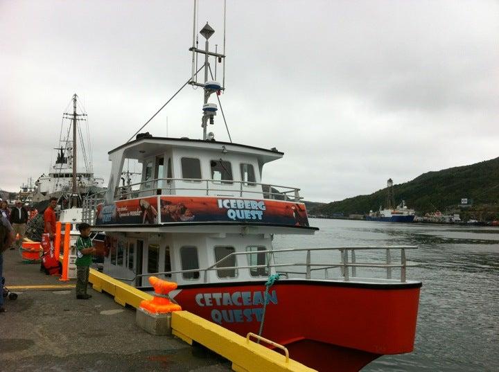 Iceberg Quest Ocean Tours