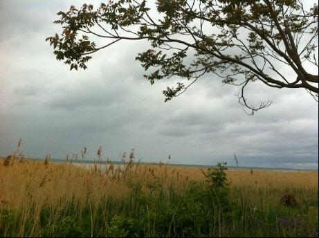 Lakes of Wasaga