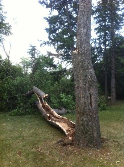 Fisher Park, Winnipeg