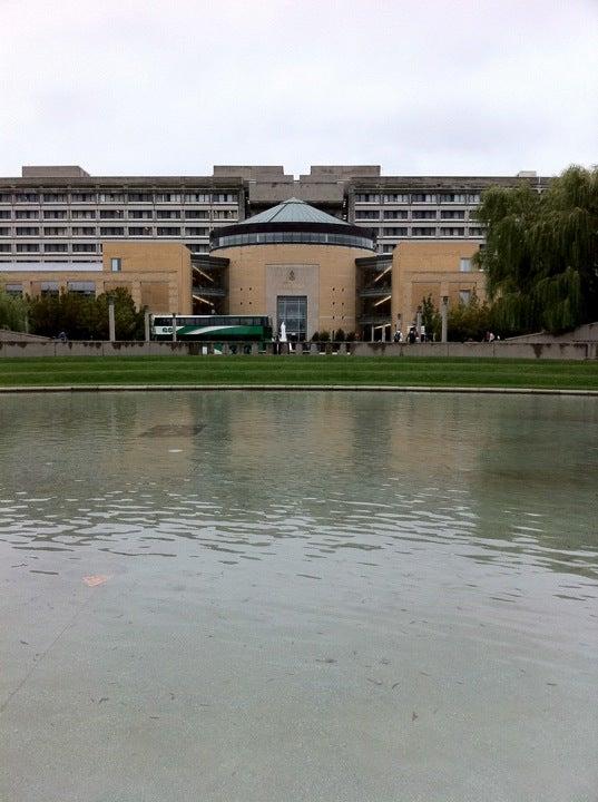 York University York Campus