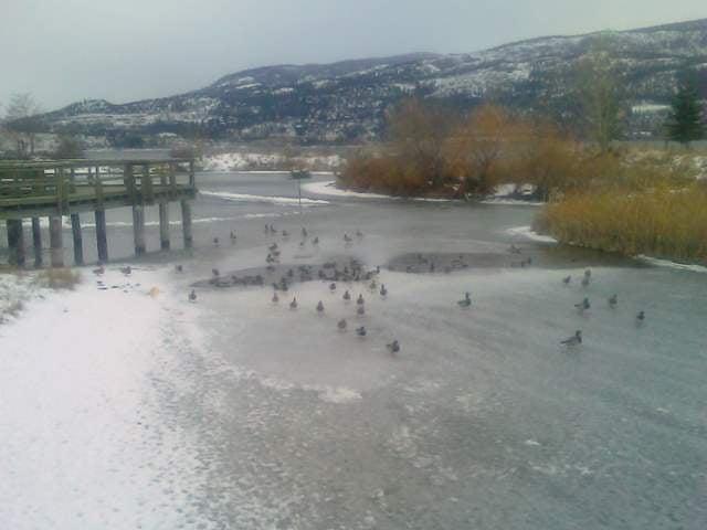 Rotary Marsh Park