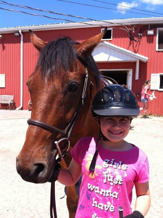 Pause Awhile Equestrian Centre