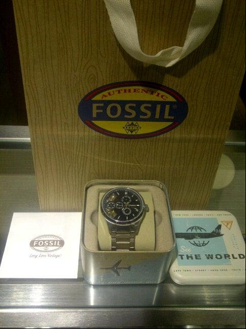 Fossil Accessory