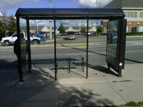 Brampton Transit Stop