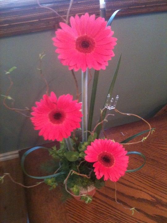 Daisy A Day Florist