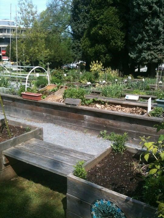 City Hall Community Garden