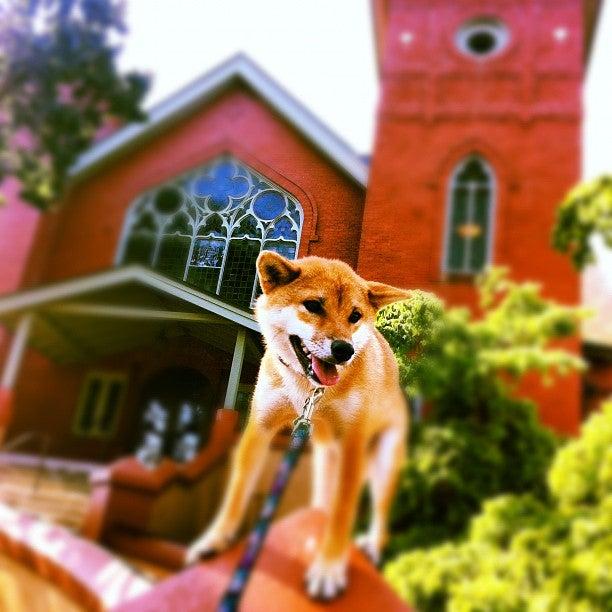 Oak Bay United Church