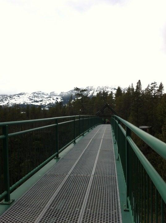 Whistler Bungee