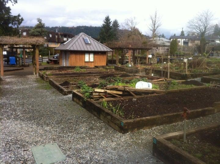 Burquitlam Community Organic Garden