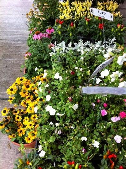 Bloor & Kennedy Flower Shop