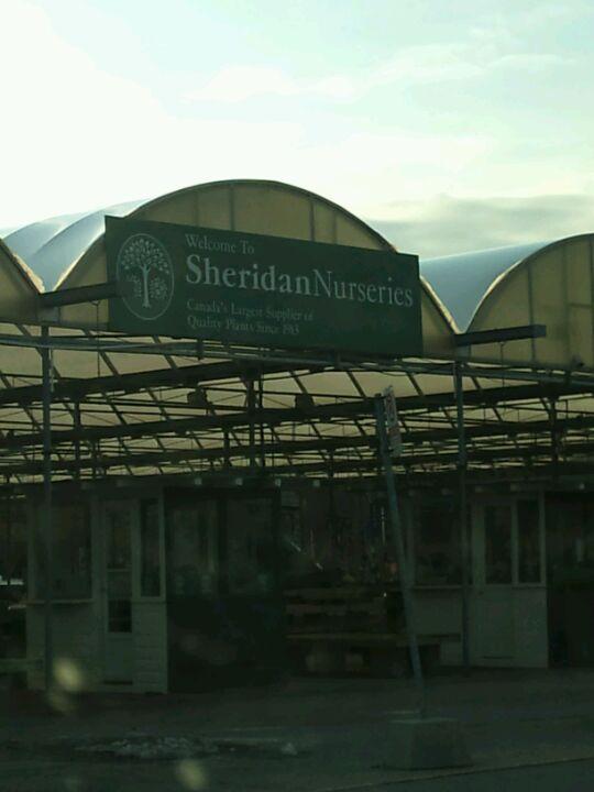 Sheridan Nurseries Ltd