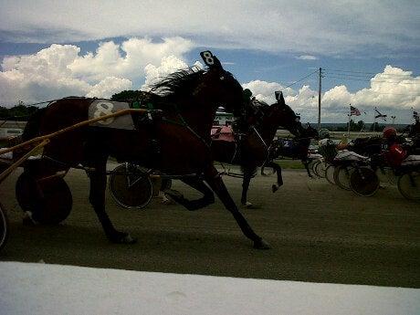 Truro Raceway