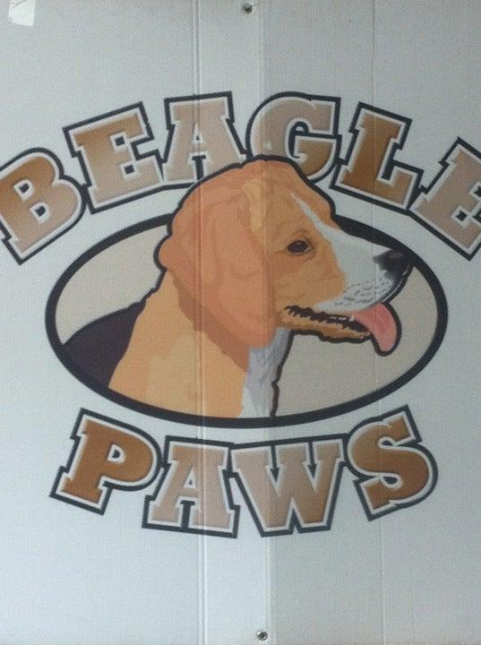 Beagle Paws