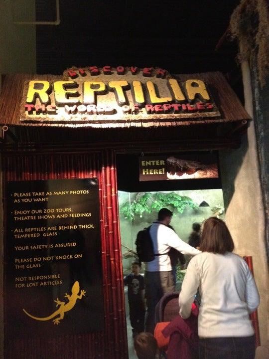 Reptilia Inc