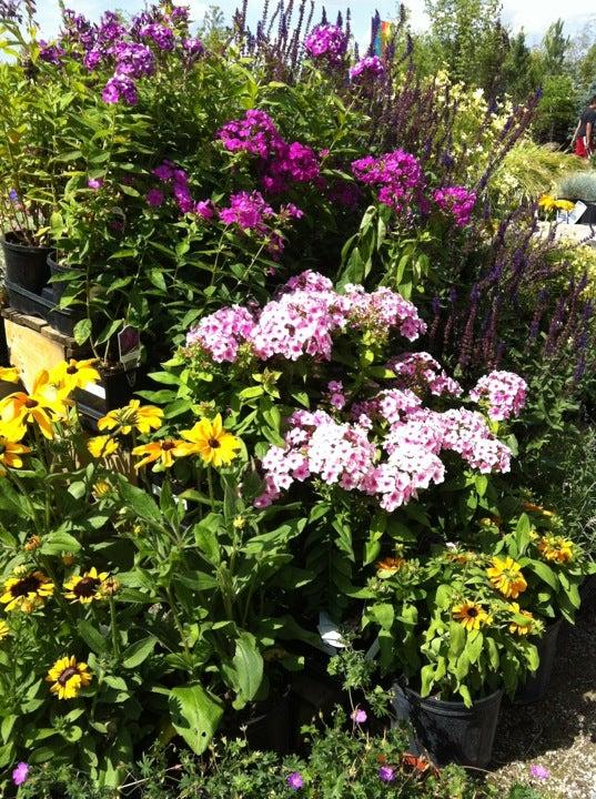 Glen Echo Nurseries Inc